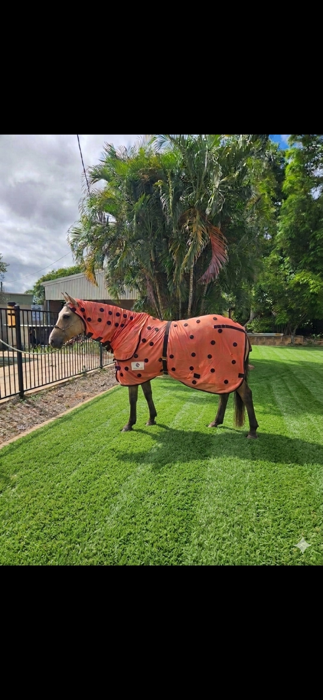 Magnetic Hooded Combo